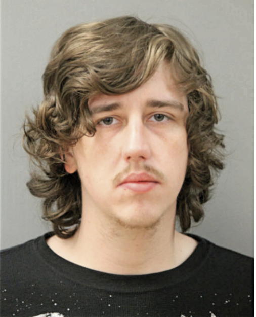 PAUL T LOVE, Cook County, Illinois