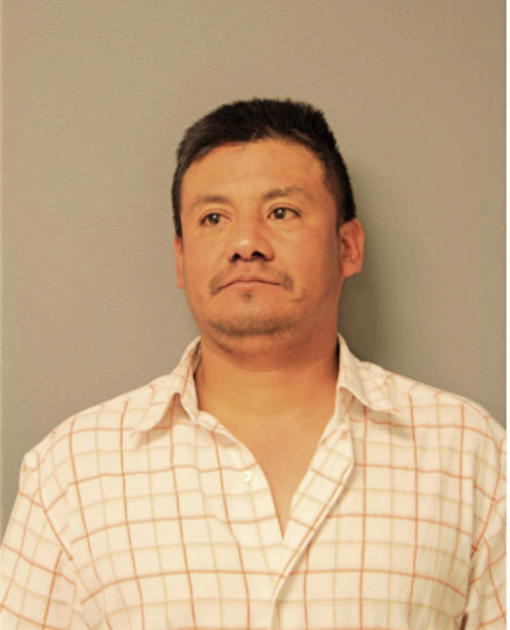 PEDRO L LOZANO, Cook County, Illinois