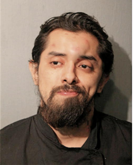 TONY RAMIREZ, Cook County, Illinois