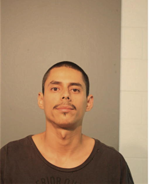 CHRYSTIAN REYES, Cook County, Illinois