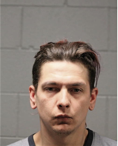 JAMES M SULLIVAN, Cook County, Illinois