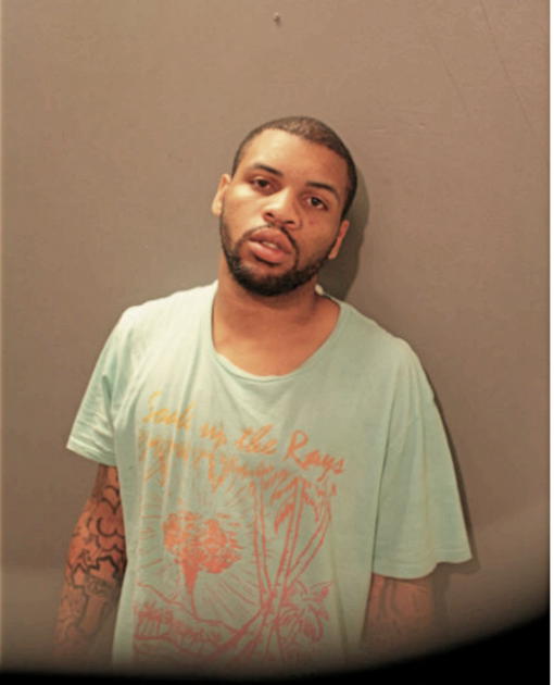 JAMAILE L VINSON, Cook County, Illinois