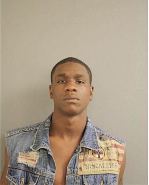 LIZZERRICK WATSON, Cook County, Illinois