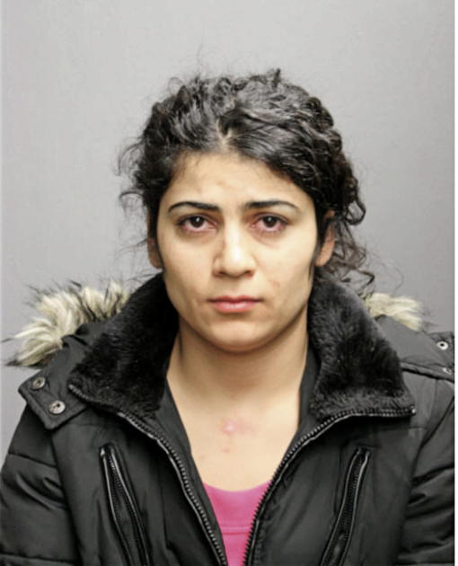 MARY YOUNAN, Cook County, Illinois