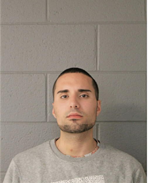 MOHAMAD H AL-GHOLEH, Cook County, Illinois