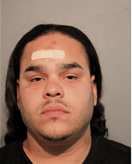 JOSE M ALVAREZ, Cook County, Illinois