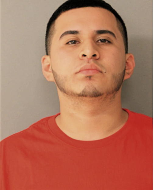 ERIK ARROYO, Cook County, Illinois
