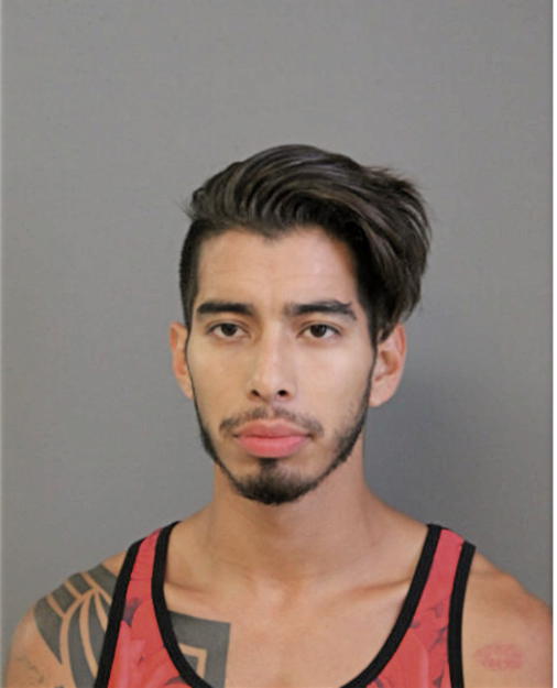 JUAN BOLANOS, Cook County, Illinois
