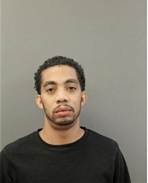 JAMES E BURNS, Cook County, Illinois