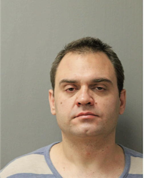 DARKO DEGEN, Cook County, Illinois