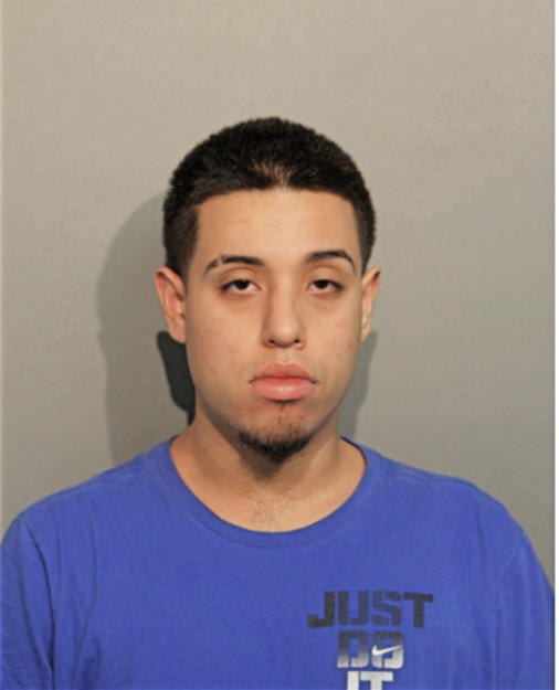 NICHOLAS A ECONOMOS, Cook County, Illinois