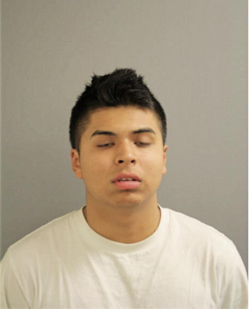 ALEJANDRO GARCIA, Cook County, Illinois