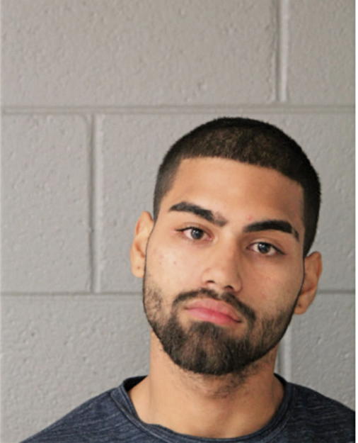 YANIEL E IRIZARRY-PADILLA, Cook County, Illinois