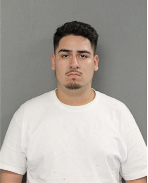 ROLANDO JAHEN, Cook County, Illinois