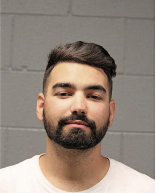ALEXANDER C MANOS, Cook County, Illinois
