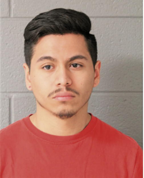 ANDRES ORTIZ, Cook County, Illinois