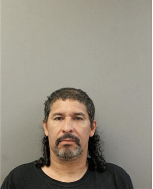 JUAN M REYES, Cook County, Illinois