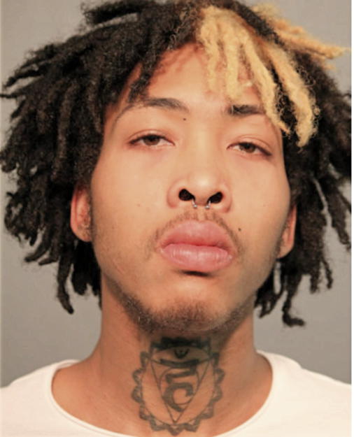 CHRISTIAN W RICKETTE, Cook County, Illinois