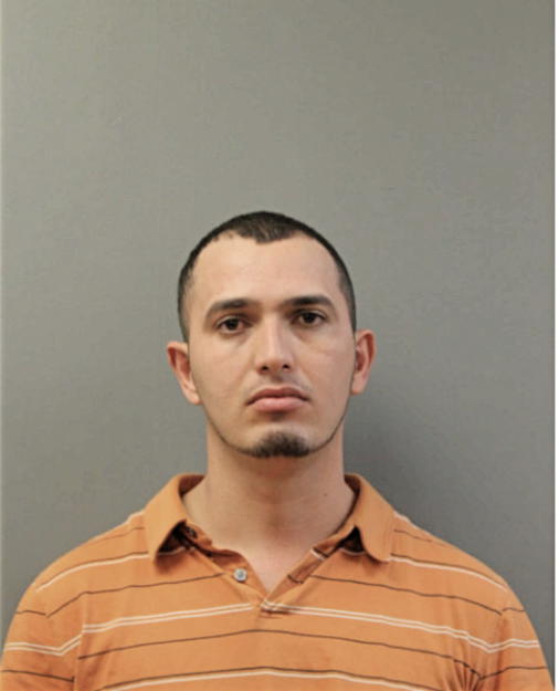 ALFONSO VILLANUEVA-VALLE, Cook County, Illinois