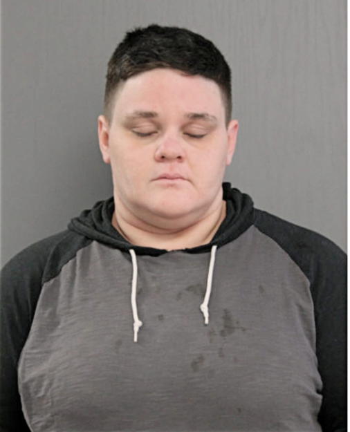 ADRIENNE E ZELEZNAK, Cook County, Illinois