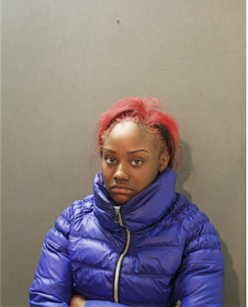 TIERRA K ANDERSON, Cook County, Illinois