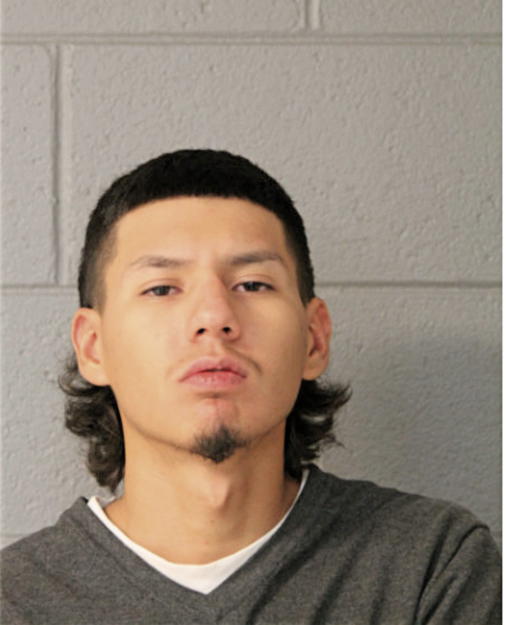 JORGE L AVILA, Cook County, Illinois