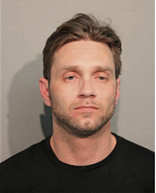 DAVID T BRENNER, Cook County, Illinois