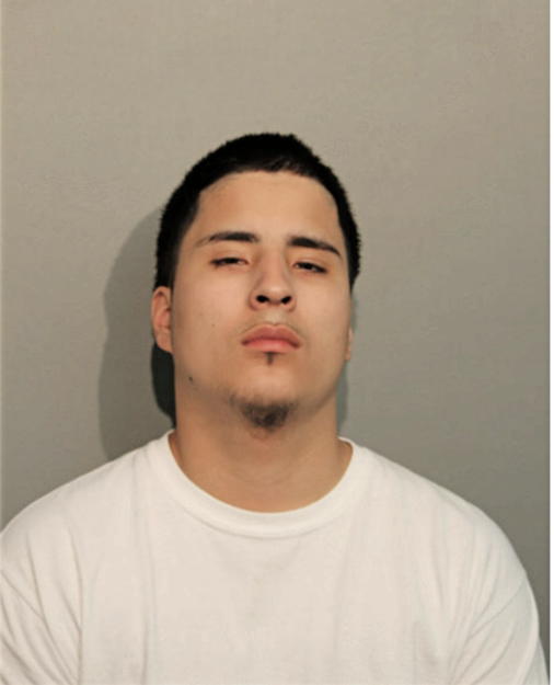 ALEJANDRO J ELVIRA, Cook County, Illinois
