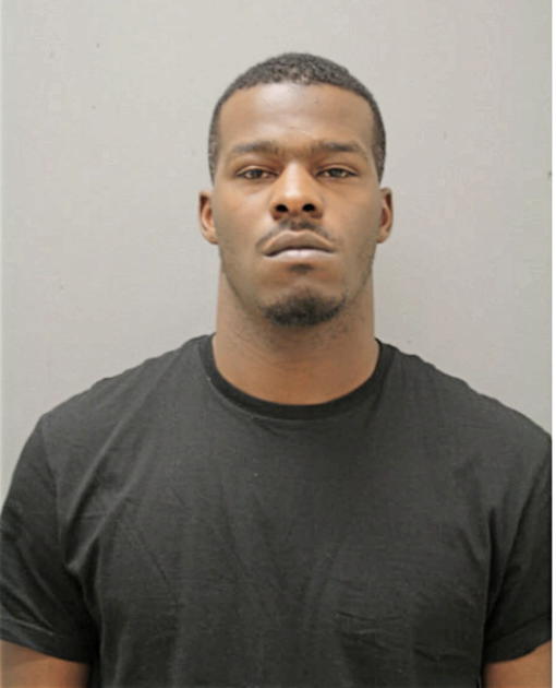 CHRISTOPHER N FLEMING, Cook County, Illinois