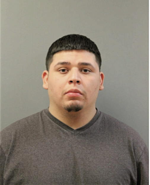 DAVID K FLORES, Cook County, Illinois