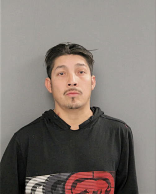 MAGDIEL J FLORES, Cook County, Illinois