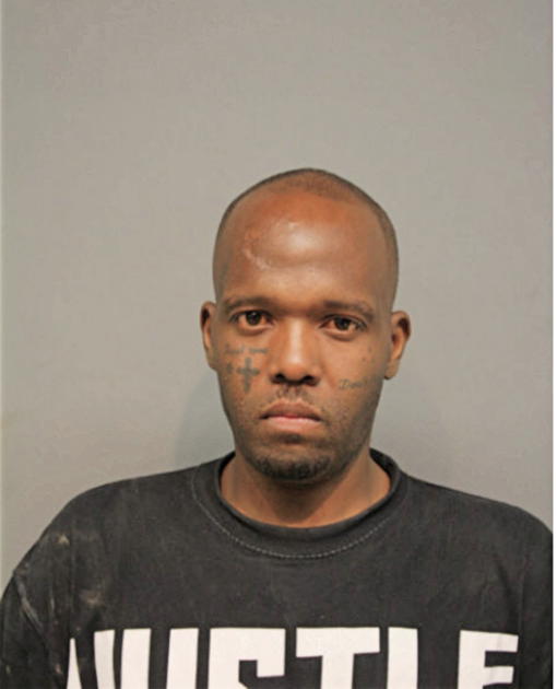 TERRANCE L FRIESON, Cook County, Illinois