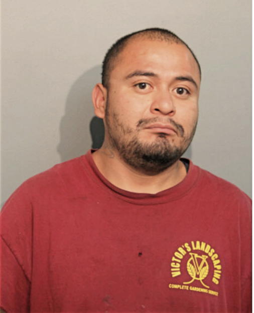ZENON GONZALEZ, Cook County, Illinois