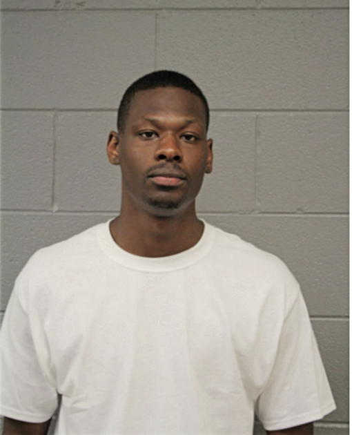 BRANDON M HAMILTON, Cook County, Illinois