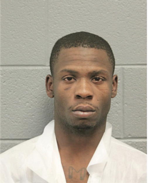 JIMMY L JOHNSON, Cook County, Illinois