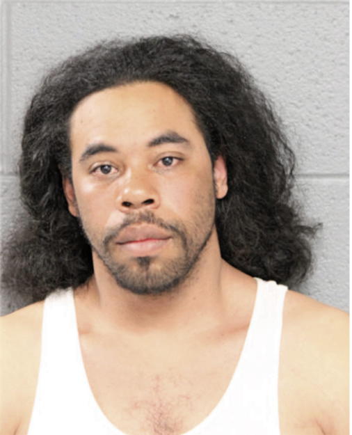 WILLIAM L ROBINSON, Cook County, Illinois