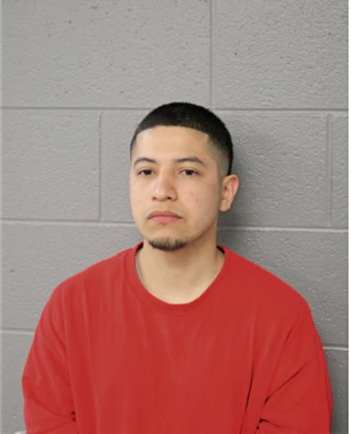 FERNANDO LARA, Cook County, Illinois