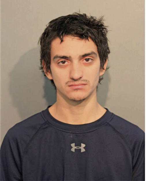 BRANDON S LAVERDURE, Cook County, Illinois