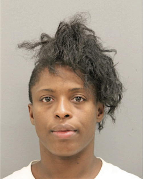 LESLIE A MCGEE, Cook County, Illinois