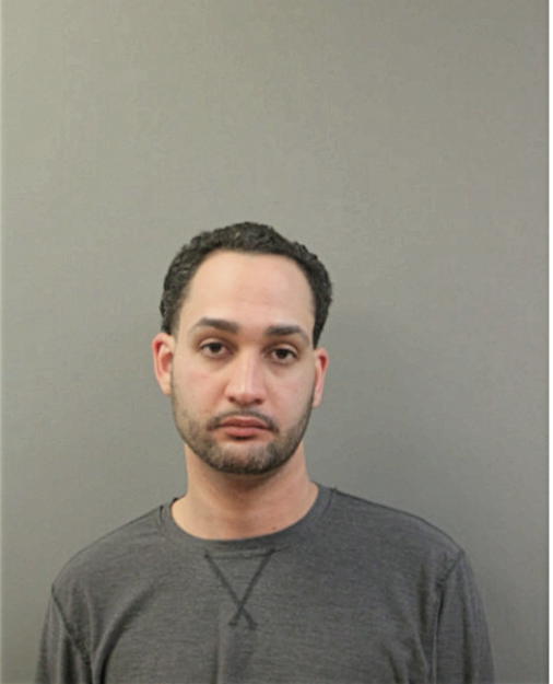FAUSTO MEDINA, Cook County, Illinois