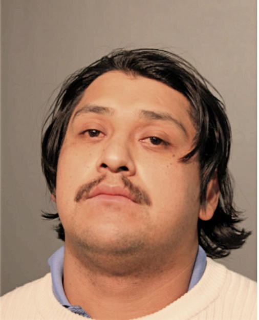 GUILLERMO MENDOZA-URIBE, Cook County, Illinois