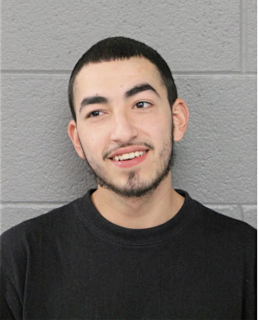 DANIEL ORTIZ, Cook County, Illinois