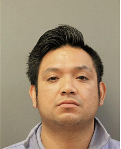 ALEJANDRO RAMIREZ-PALOMARES, Cook County, Illinois