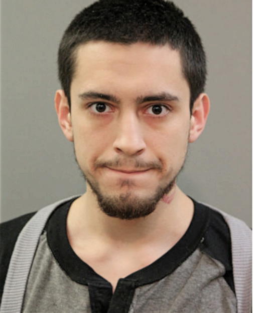 CHRISTIAN J RAMOS, Cook County, Illinois