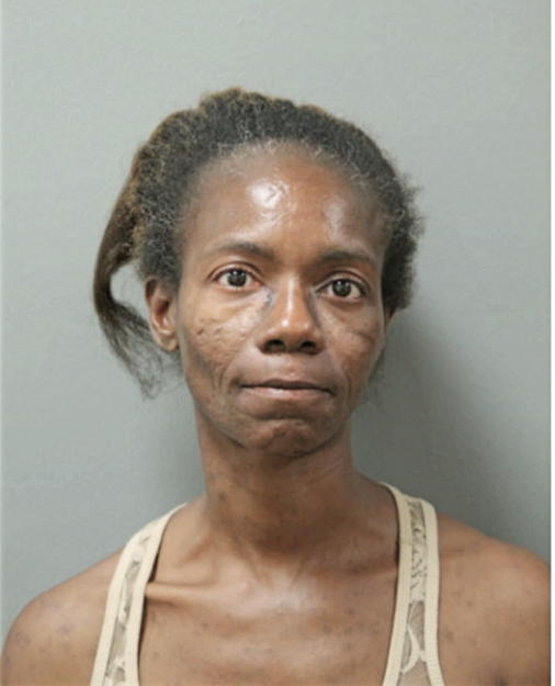 STACY L ROBINSON-HOLZENDORF, Cook County, Illinois