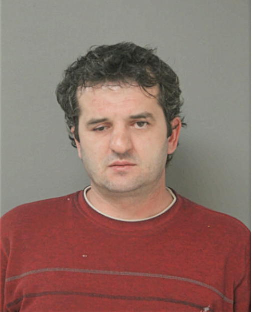SAMIR SALKIC, Cook County, Illinois