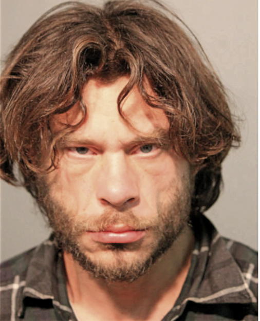DION L SCARDINA, Cook County, Illinois
