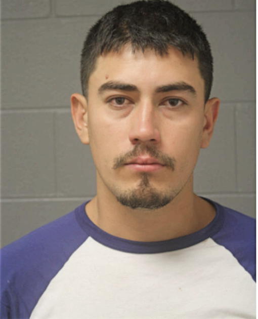 SERGIO SERNA-RAMIREZ, Cook County, Illinois
