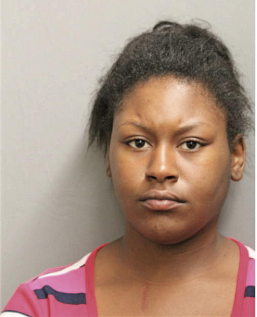 NAYAIH K STEVENSON, Cook County, Illinois