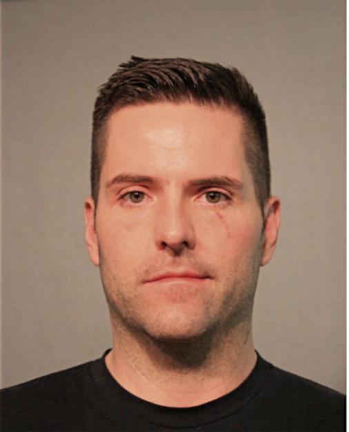 MICHAEL W WOOD, Cook County, Illinois